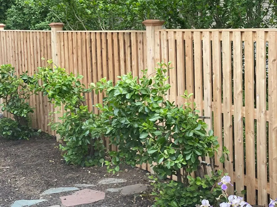 Commercial Wood fence contractor in the Southborough MA area.